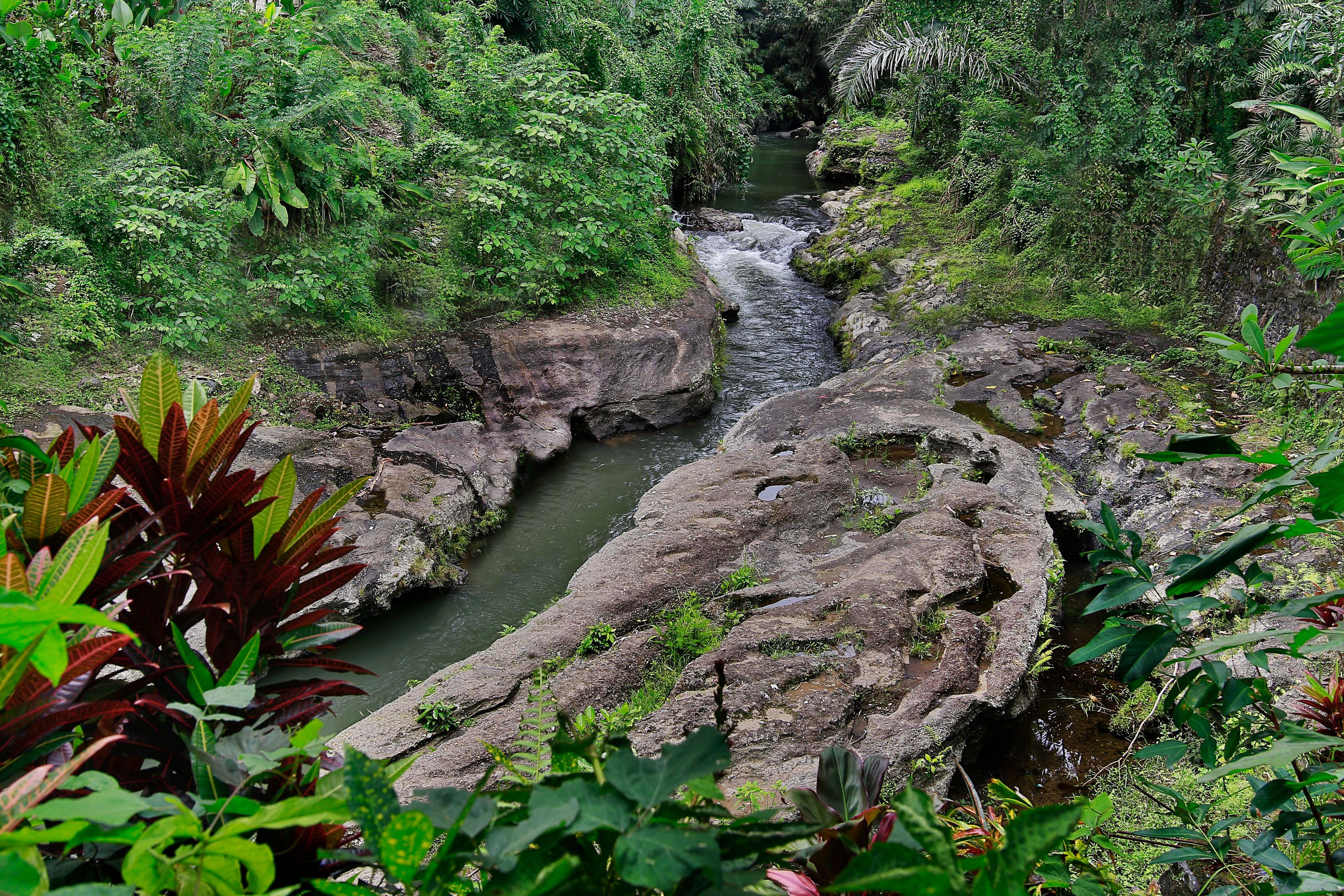 Bali Spirit Hotel And Spa, Ubud Eksteriør billede